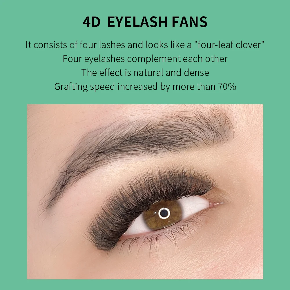 GLAMLASH 4D W Shape Eyelash Ex - Eyelash Extension Volume Styles review and price