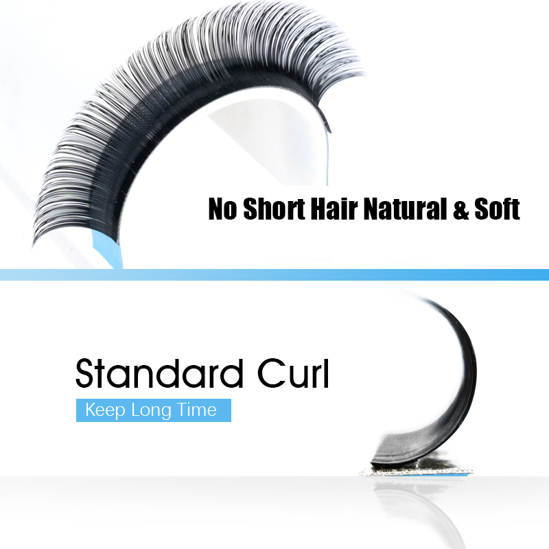 MASSCAKU 0.05/0.07/0.10/0.15mm - Eyelash Extension Human Hair review and price