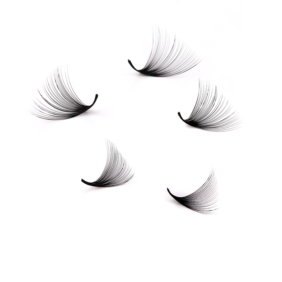 Lashprofessor XL Tray 3D 4D 5D - Eyelash Extension Review review and price