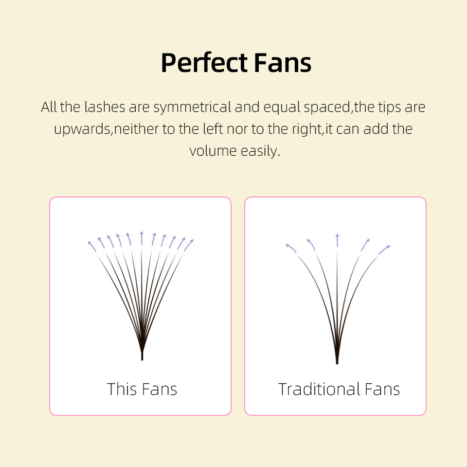 Lashprofessor XL Tray 3D 4D 5D - Eyelash Extension Review review and price