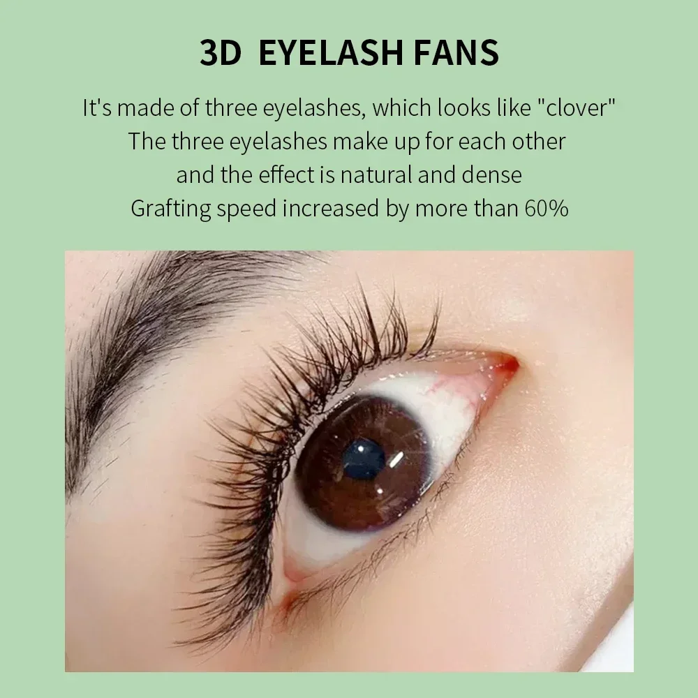 GLAMLASH 3D W Three-Core Shape - Eyelash Extension Volume Styles review and price